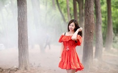 大财阀的隐婚甜妻